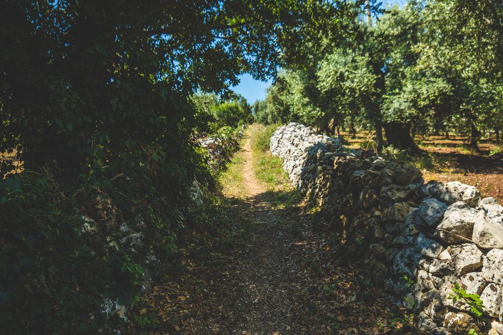 Borgo Sardedda Suites Locorotondo Εξωτερικό φωτογραφία