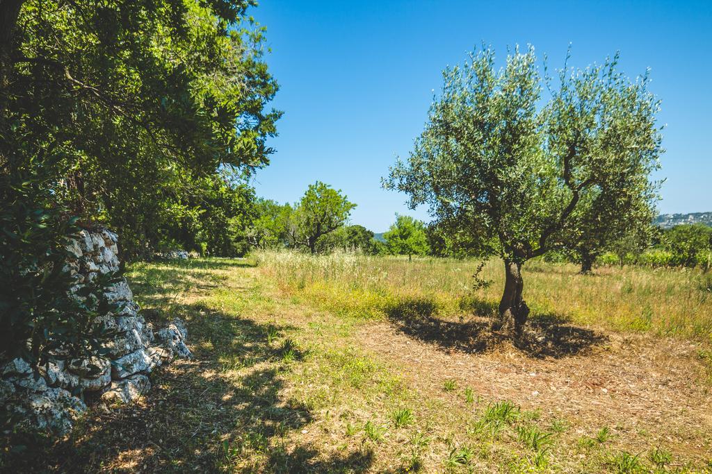 Borgo Sardedda Suites Locorotondo Εξωτερικό φωτογραφία