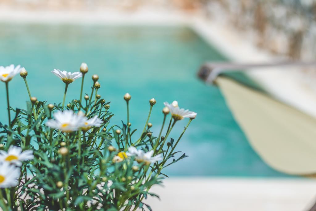 Borgo Sardedda Suites Locorotondo Εξωτερικό φωτογραφία
